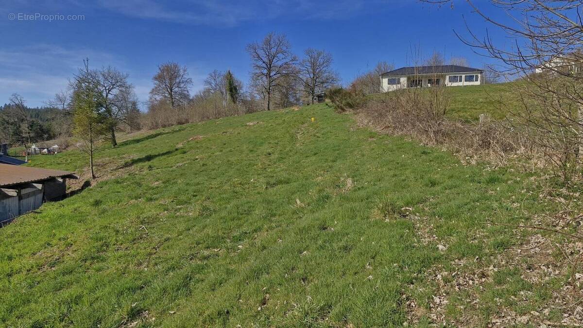 Photo 1 - Terrain à ANGLES