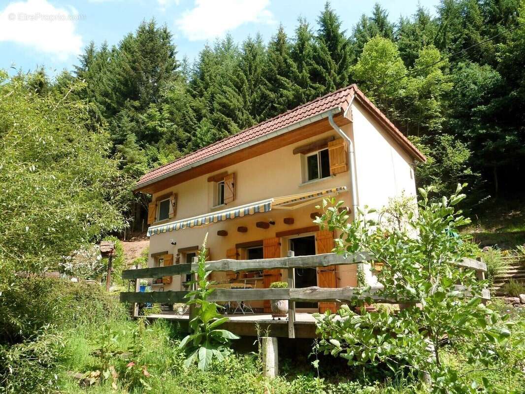 Maison 65 m² à Frapelle  - photo 648