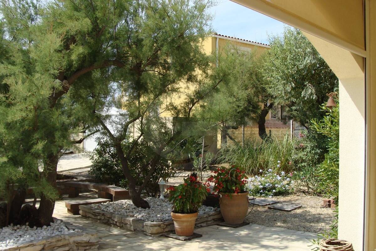 Maison à FRONTIGNAN