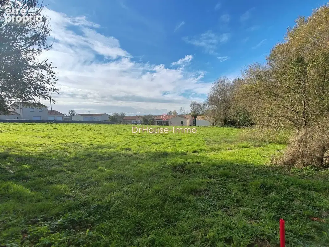 Terrain 4 800 m² à vendre à Saint-Cyr-En-Talmondais (85540) - photo 19