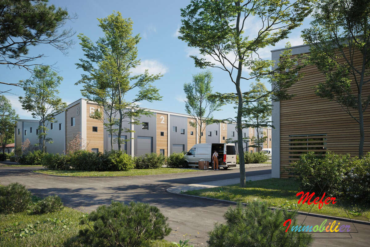 Commerce 135 m² à Saint-Vincent-De-Tyrosse  - photo 5