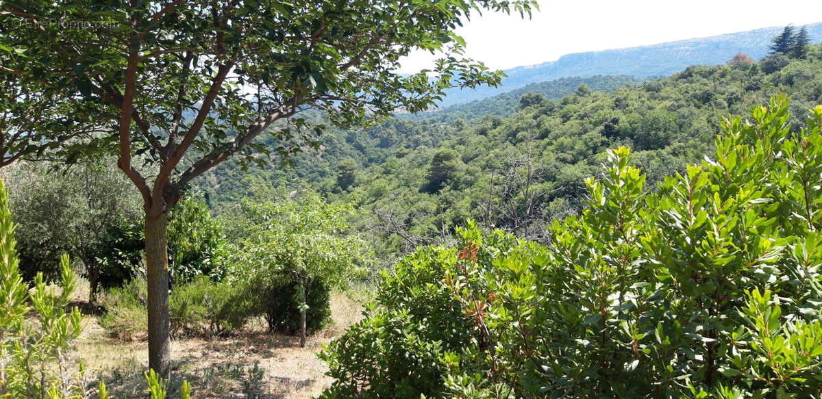 Maison à PLAN-D'AUPS-SAINTE-BAUME
