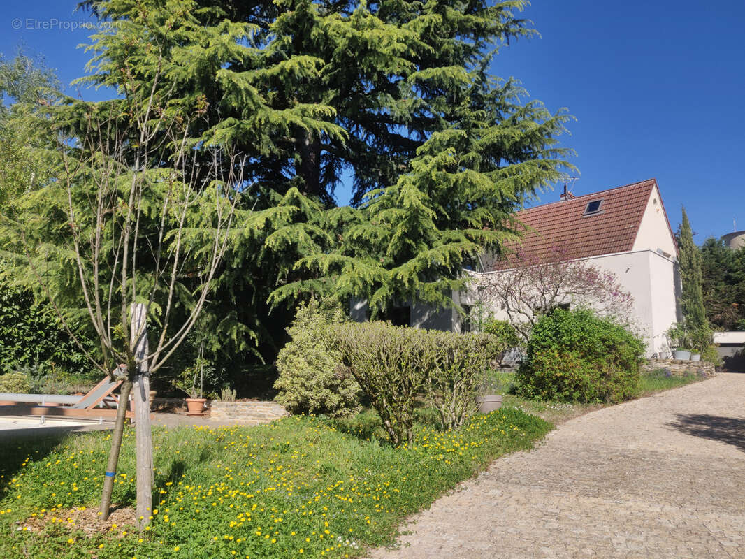 Maison à CALUIRE-ET-CUIRE