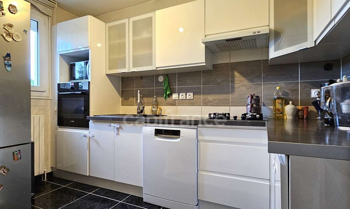 Maison à vendre 3/4 pièces SERMAISES (45) - photo 3