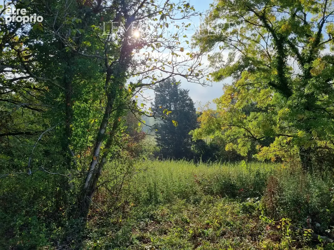 Terrain à JANVRY