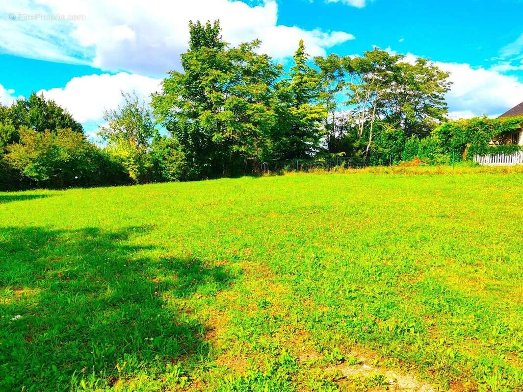 Photo 3 - Terrain à BAUGE