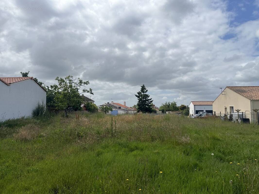 Terrain à LA MARNE