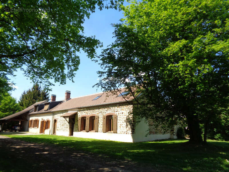 Maisons à vendre TREIGNY (89) Ensemble de deux maison 11pcs 5 ou 6 chbs, piscine, panneau solaire - photo 16