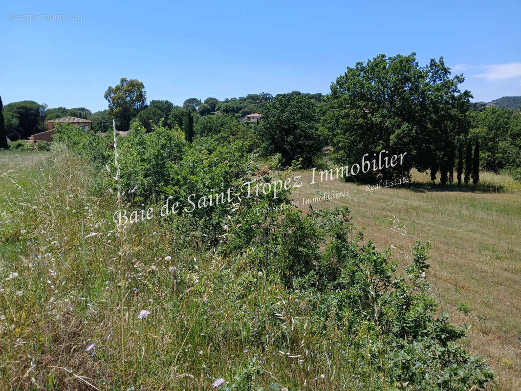 Terrain à GRIMAUD