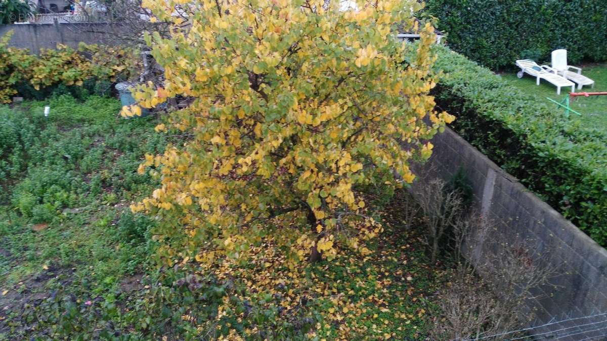 Terrain à GARGES-LES-GONESSE