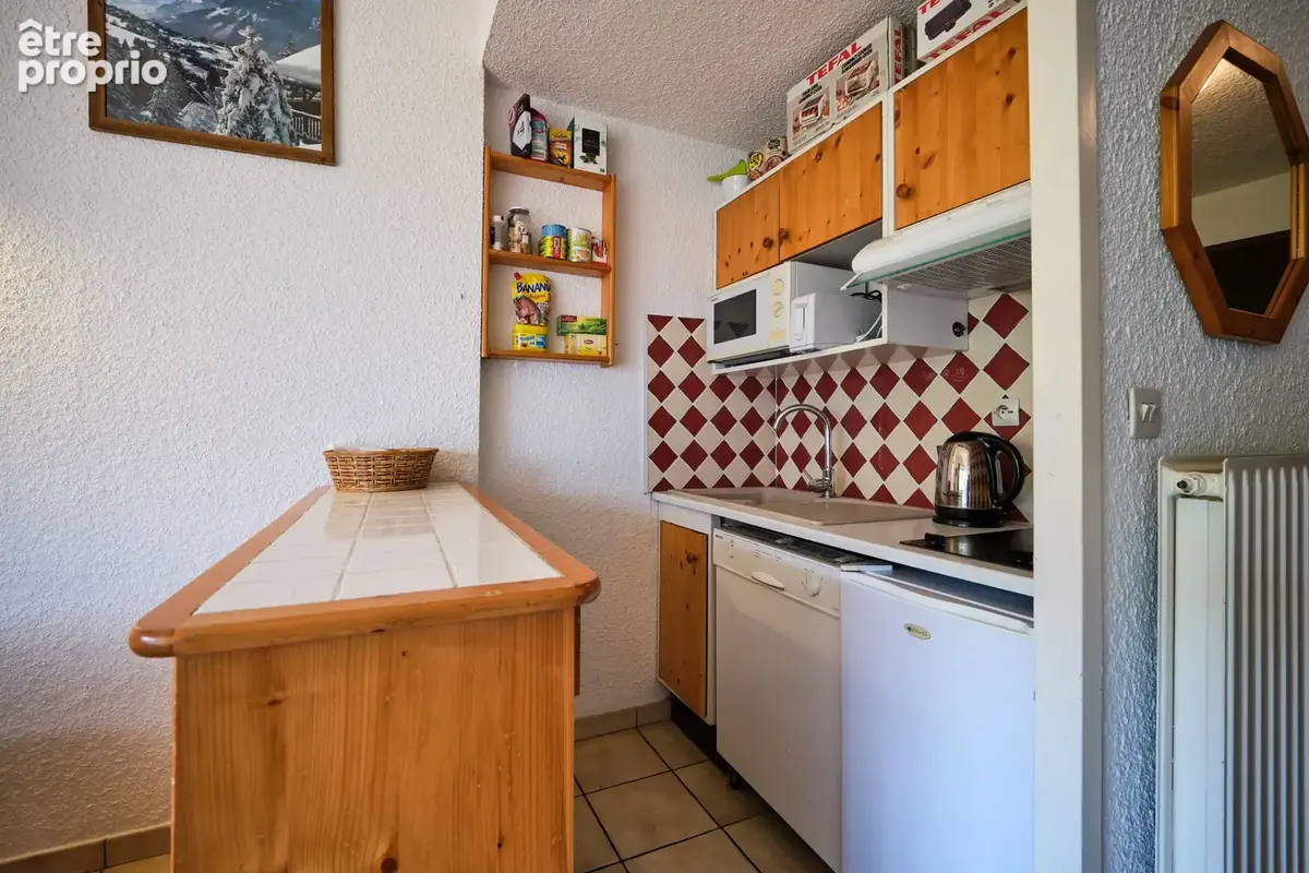 T2/3 duplex carroz-d'arraches - photo 8