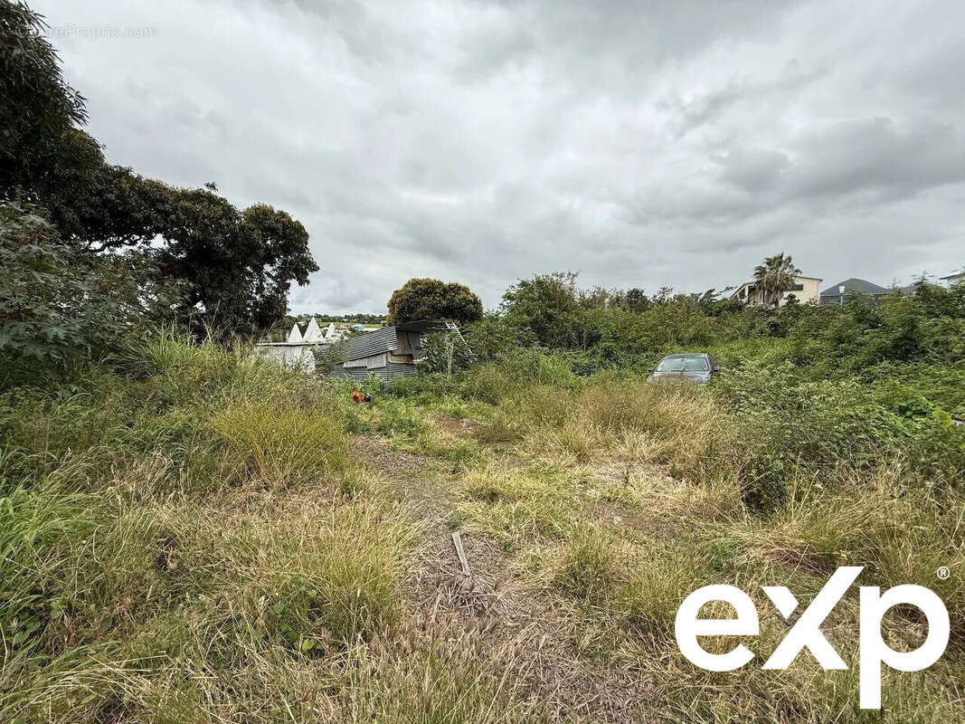 Terrain à SAINT-PIERRE