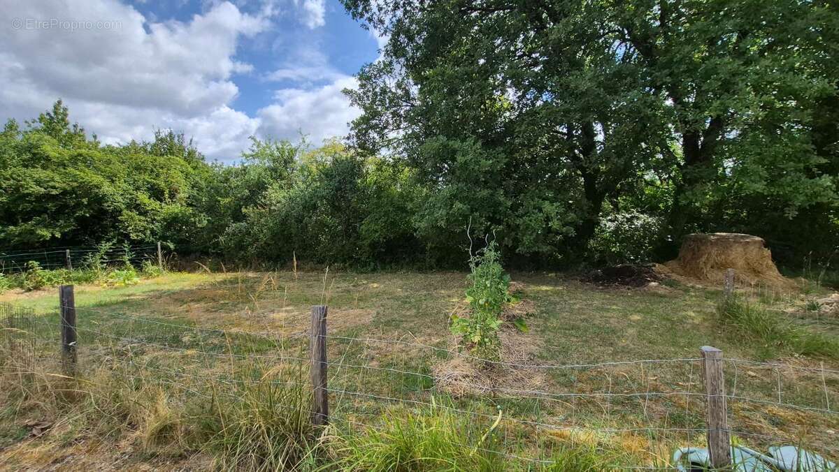 Maison en pierre sur les hauteurs - photo 23