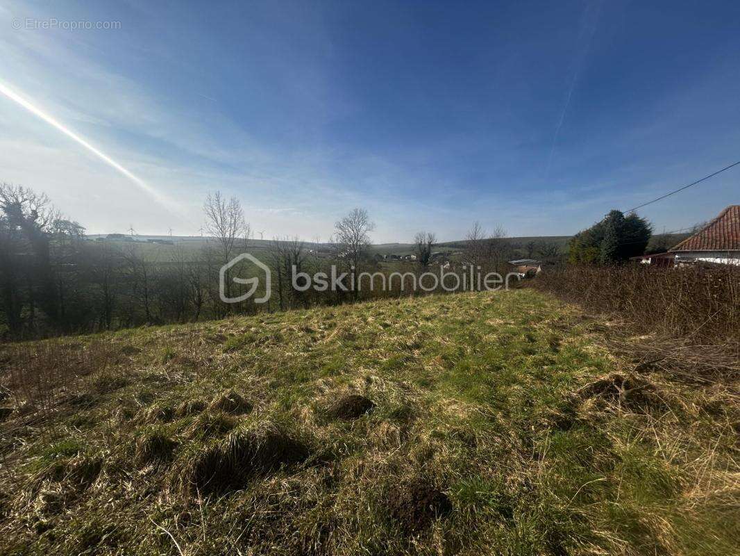 Opportunité rare : Grand terrain constructible au cœur d'un environnement paisible non loin des plages de la Côte d'Opale - photo 2
