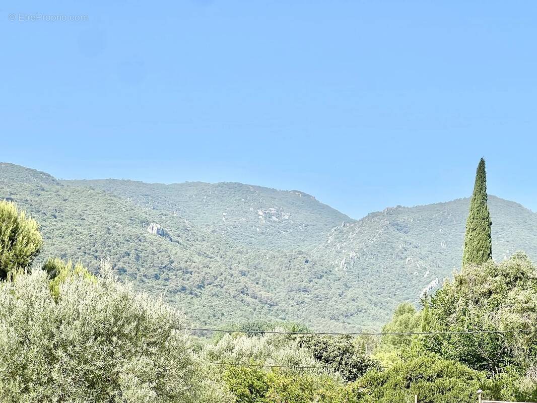 Terrain à CAMPS-LA-SOURCE