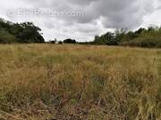 Terrain à SAINT-BENOIT-SUR-LOIRE