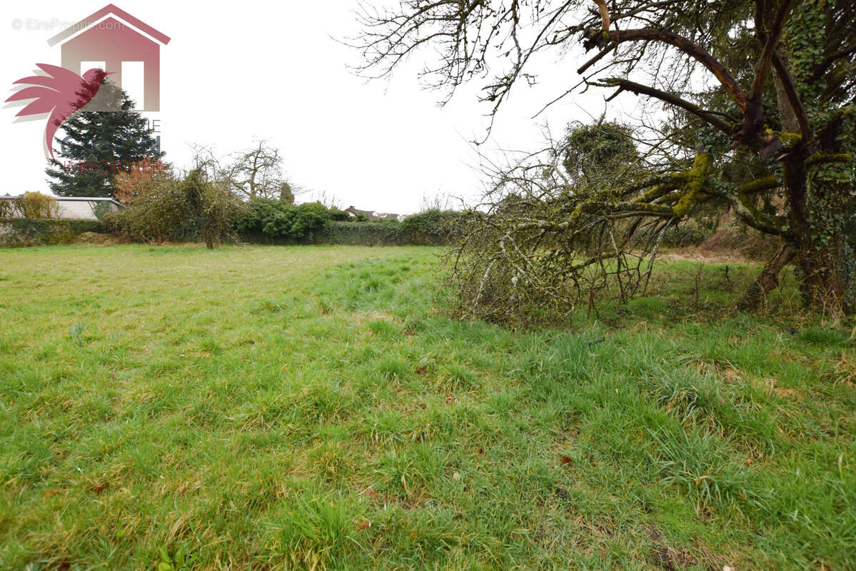 Magnifique terrain a batir de 31,67 ares.. - photo 2