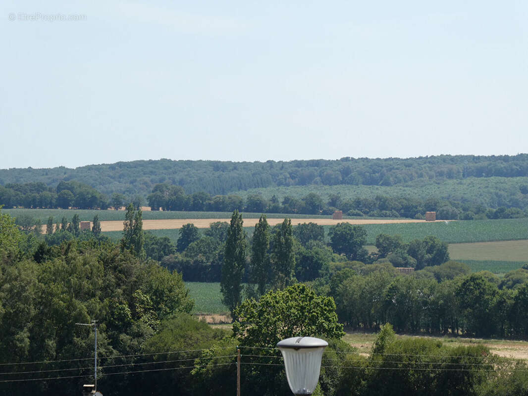 Maison de plain pied dans une impasse au calme et  sans vis -à vis. - photo 4