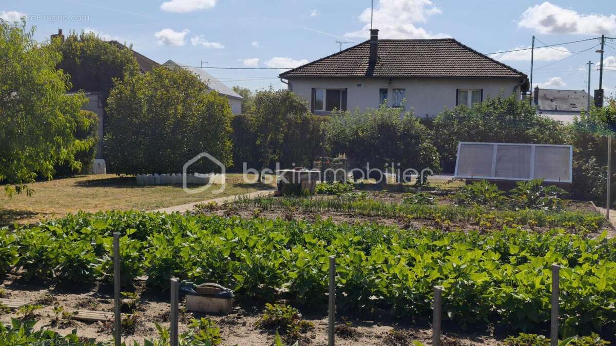 Maison 63 m² à Coullons  - photo 15