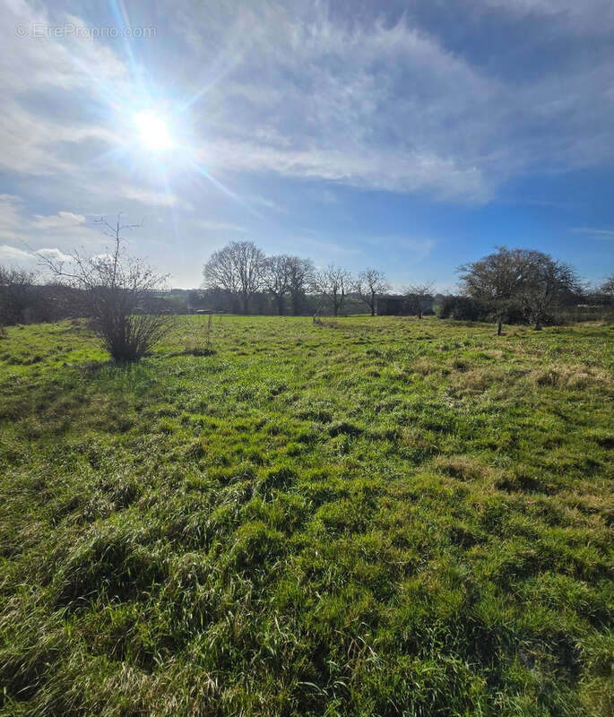 Terrain à MESLAY-DU-MAINE