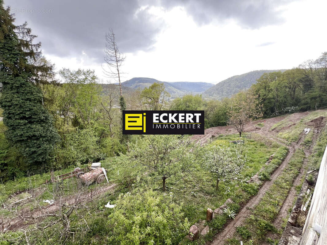 Terrain à HEILIGENBERG