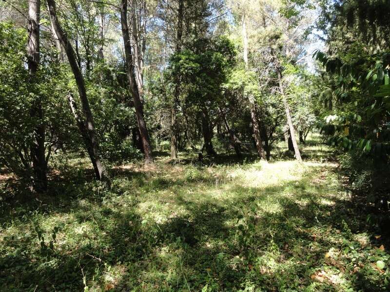 Terrain à VILLEPINTE