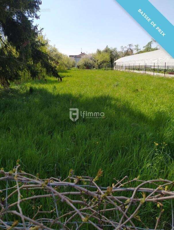 Terrain à HOLTZWIHR