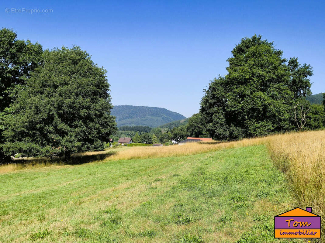 Terrain 3325 m² à Moyenmoutier  - photo 4