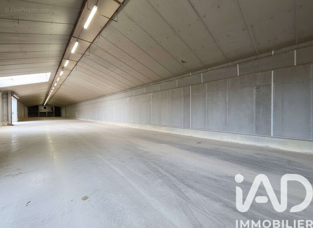 Photo 4 - Appartement à NERSAC