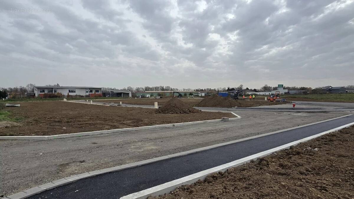 Terrain à REGUISHEIM