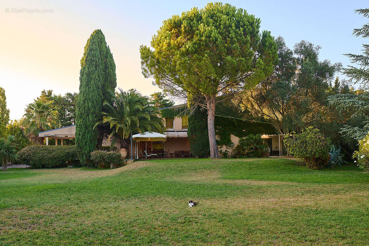 Maison à TARASCON