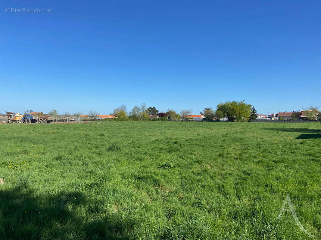 Terrain à CHAVAGNES-EN-PAILLERS