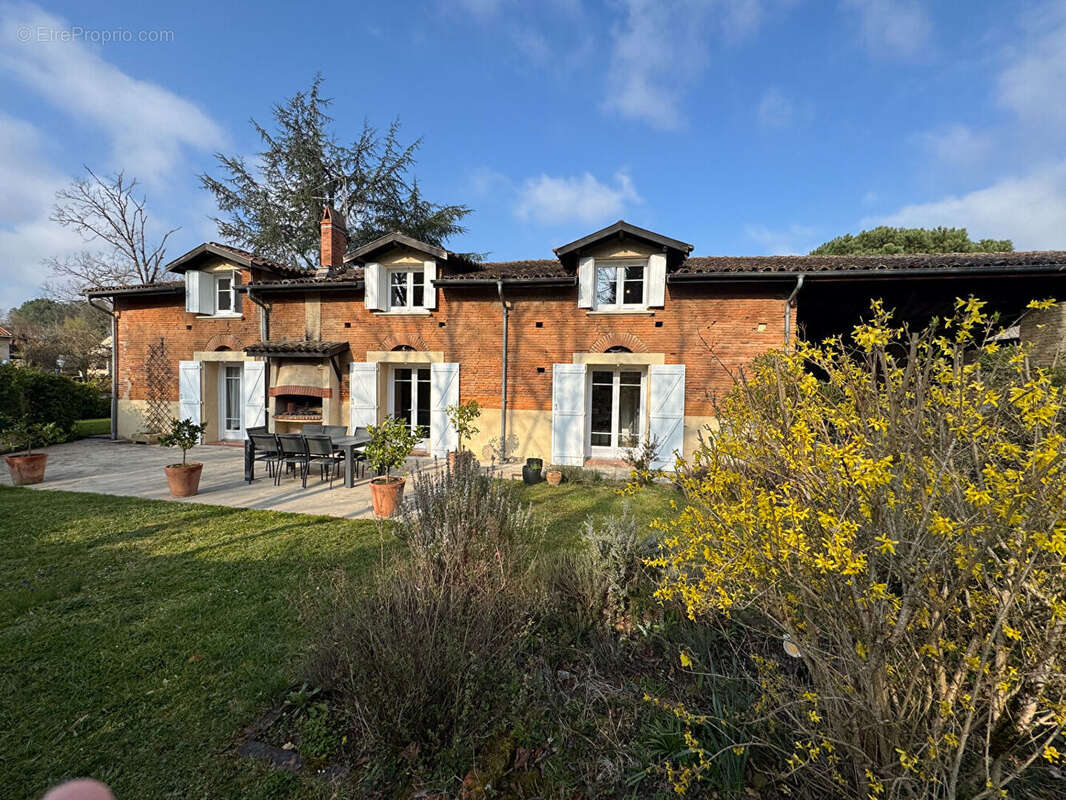 Maison Labastide Saint Sernin 7 pièce(s) 296.56 m2 - photo 3