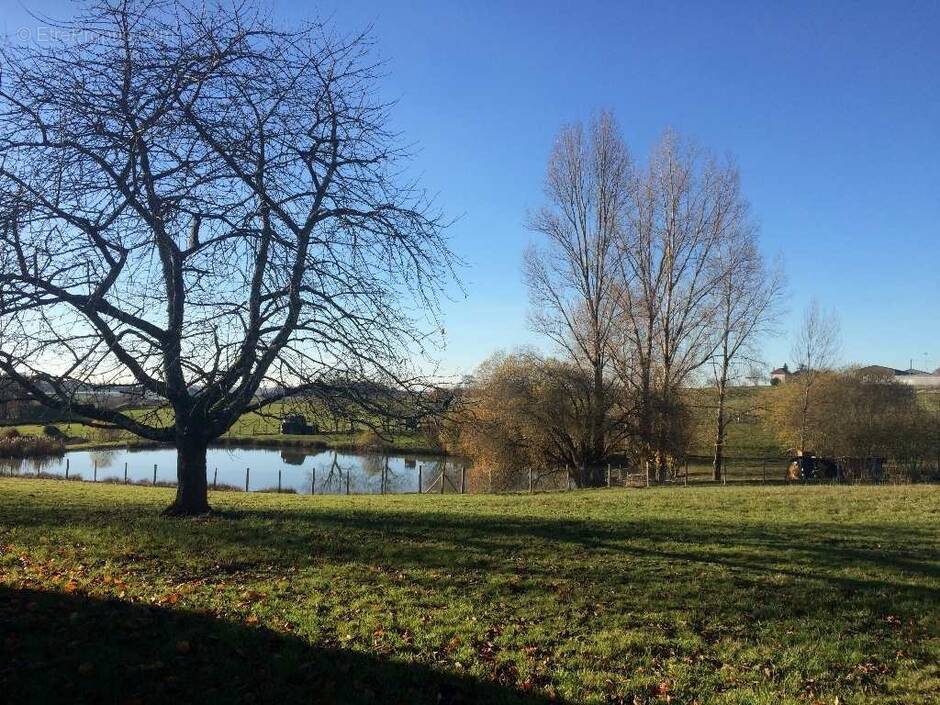 Terrain à LANOUAILLE