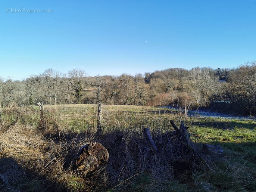 Terrain à LES ANCIZES-COMPS