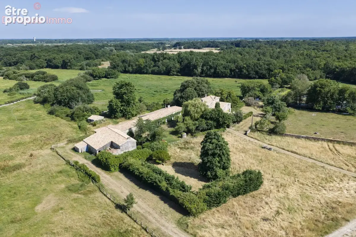 Maison 19 pièces 800 m² à vendre à Saint-Vivien-De-Medoc (33590) - photo 9