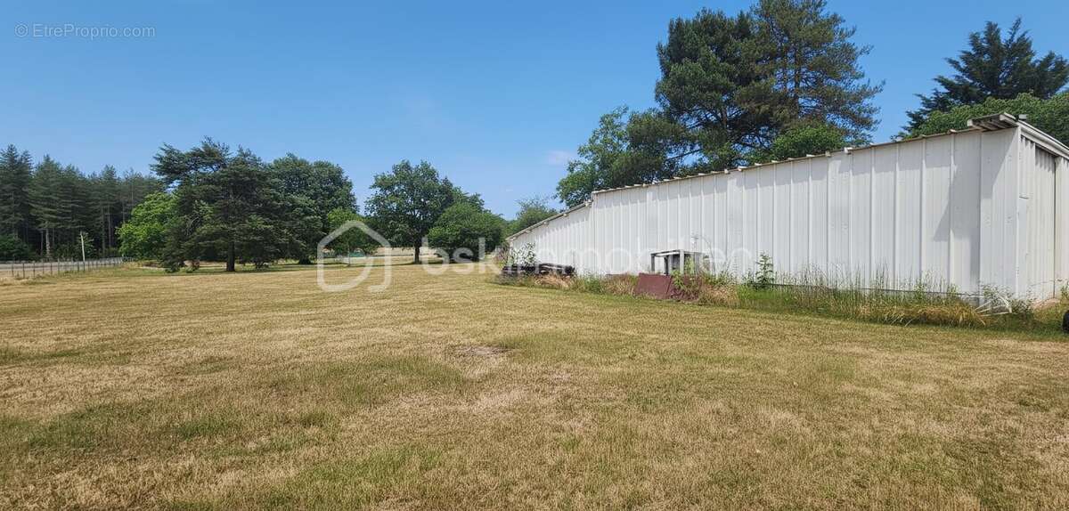  terrain de loisirs de 3 733 m² – un véritable havre de paix aux multiples possibilités  - photo 3