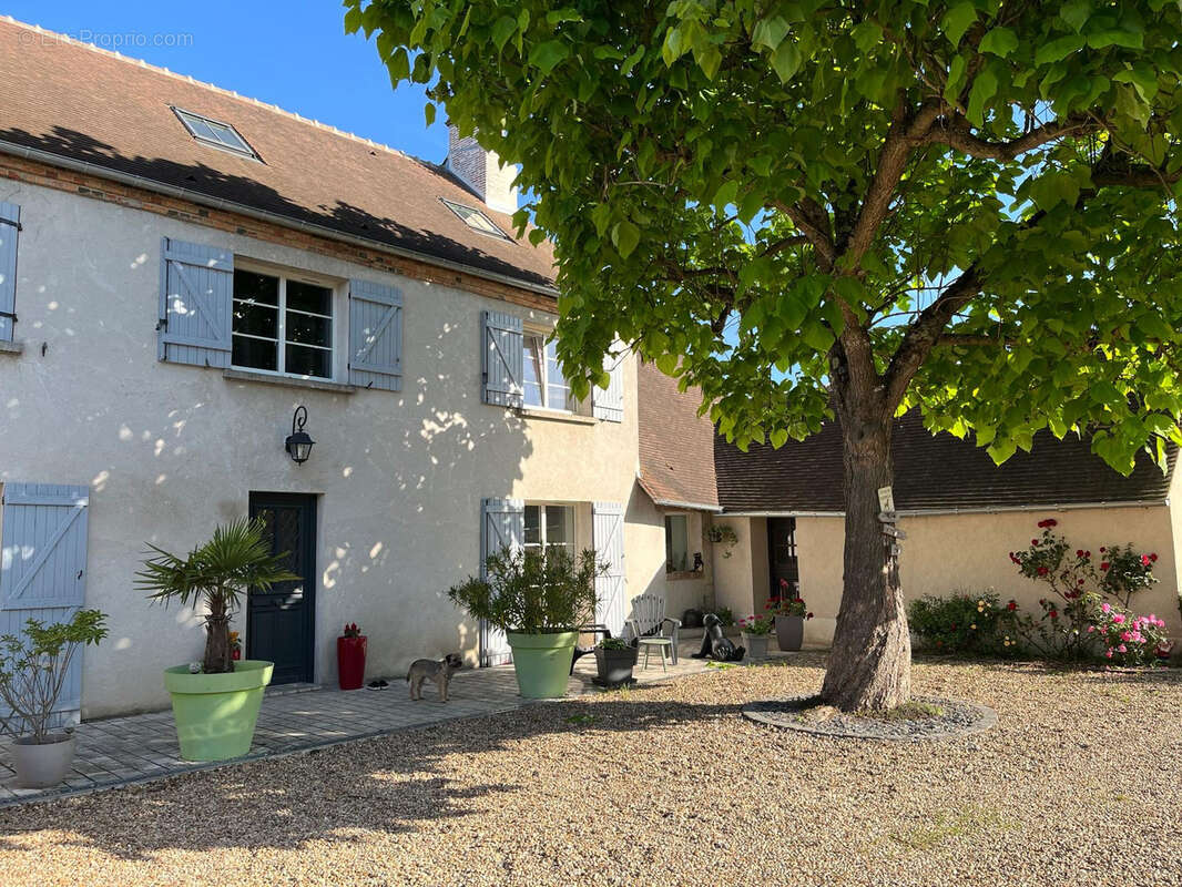 Maison à OLIVET