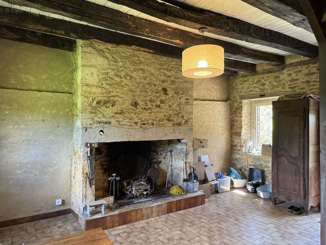 IMG3048 - Maison à SAINT-ANDRE-D'ALLAS