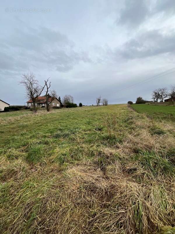 Terrain à ROUSSY-LE-VILLAGE