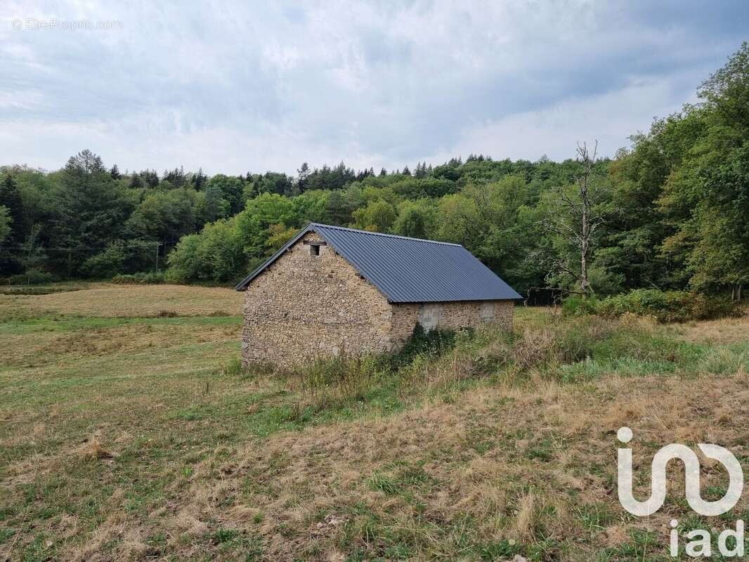 Photo 8 - Maison à JUILLAC