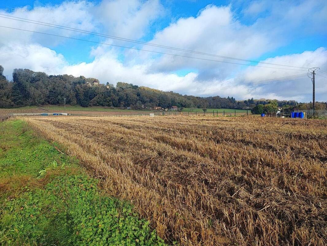 Photo 1 - Terrain à LALINDE