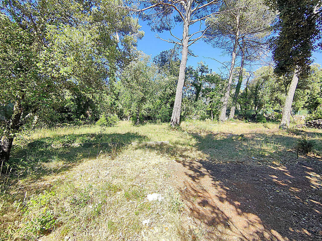 Terrain à GAREOULT