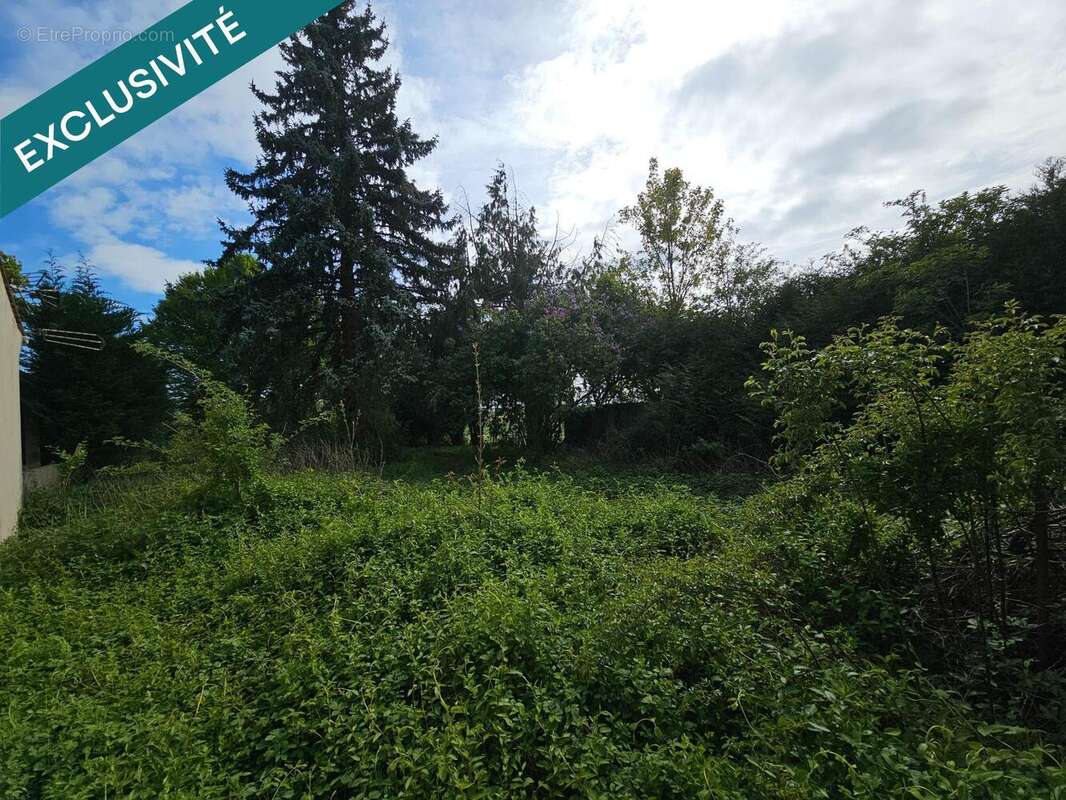 Photo 4 - Terrain à VILLIERS-SAINT-GEORGES