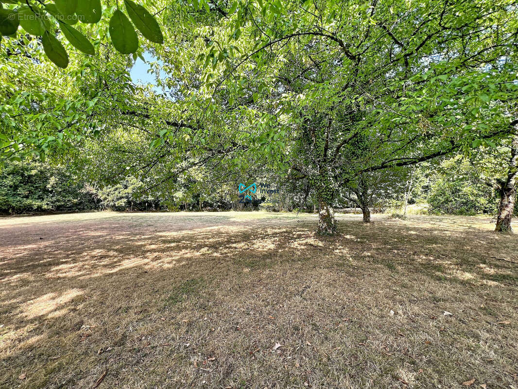 Terrain 1651 m² à Castelmaurou  - photo 3