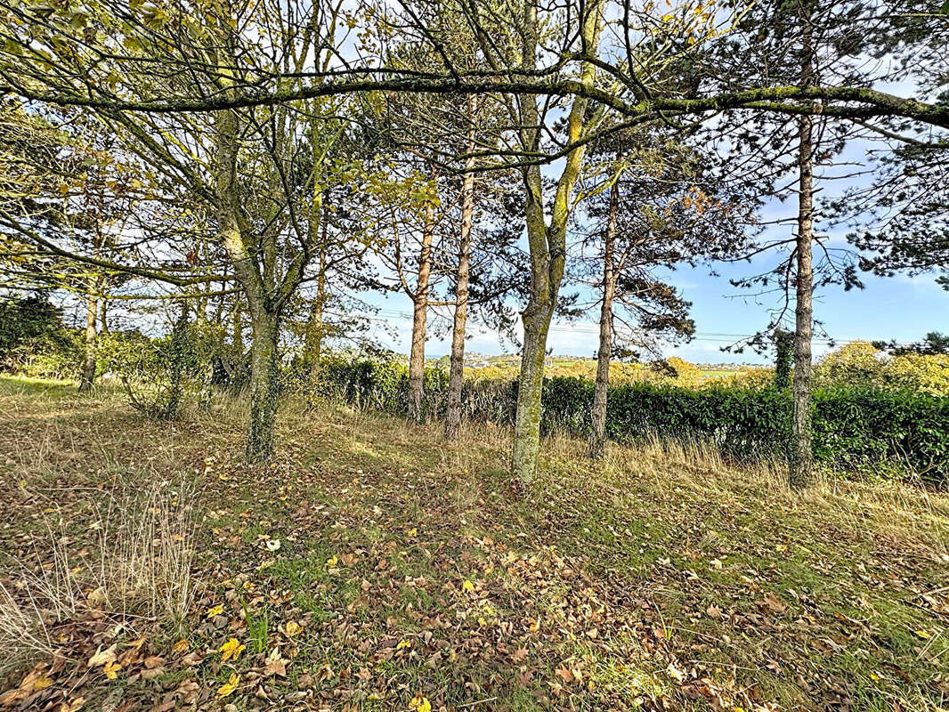 Maison à SAINT-ALBAN