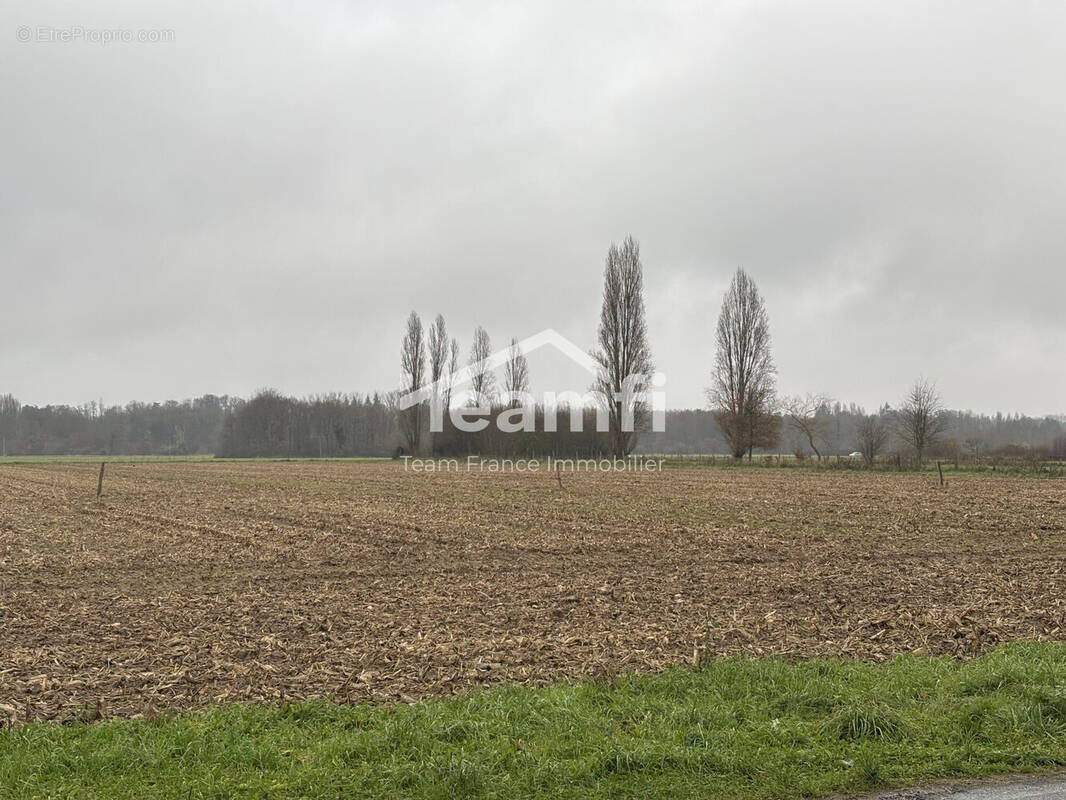Terrain à GERMIGNY-DES-PRES