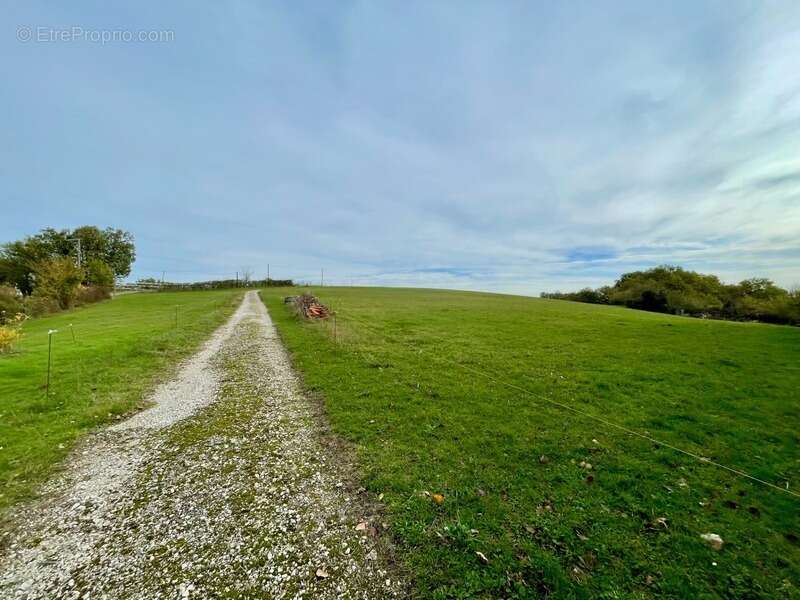 Maison à SAINT-VINCENT-LESPINASSE
