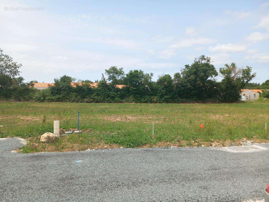 Terrain 439 m² à Anais  - photo 3