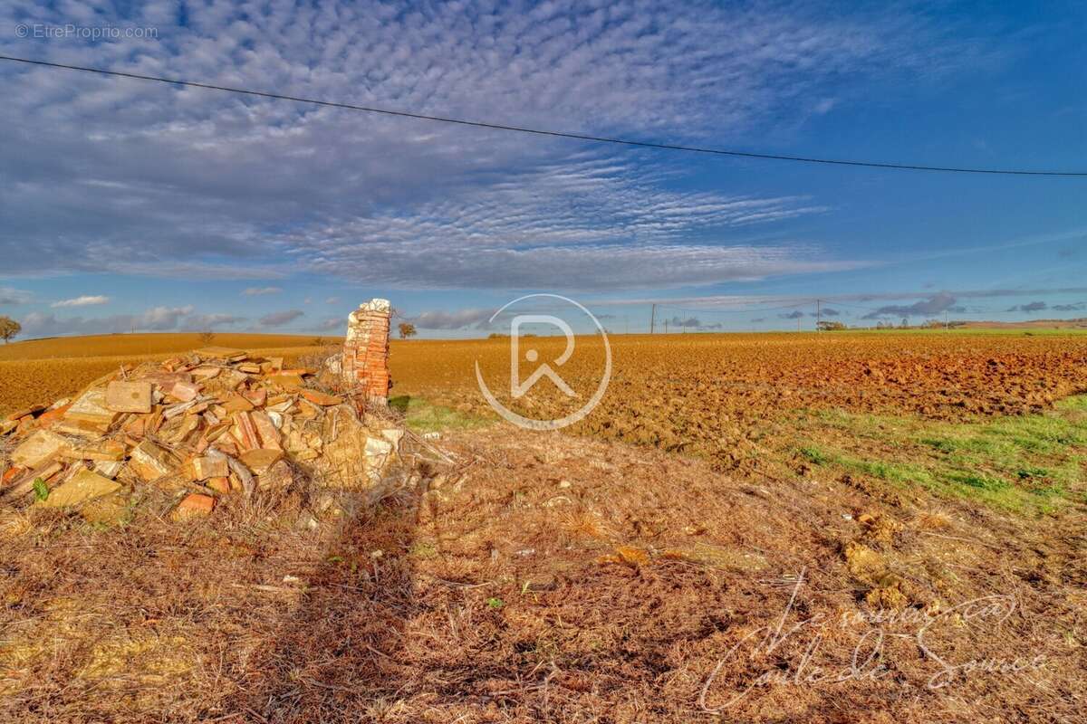 terrain lomagne - Terrain à FAUDOAS